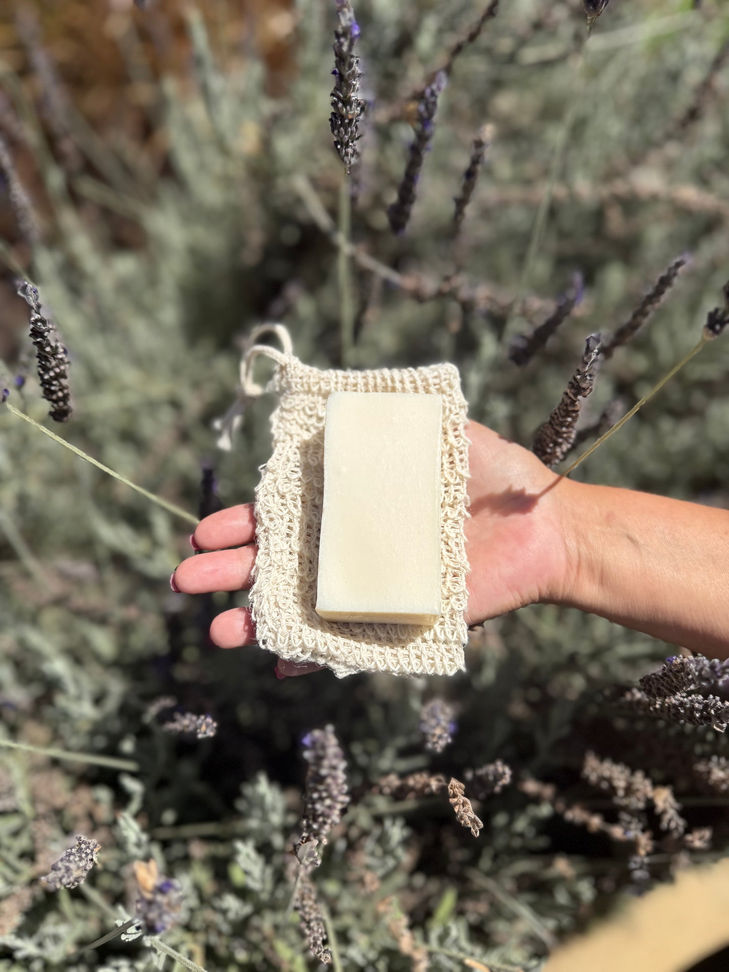 Grass-Fed Tallow Shampoo & Body Bar + Eco-Friendly Exfoliant Bag
